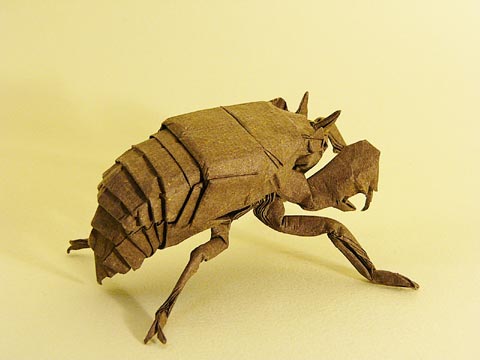 0509_2.jpg 0509_2.jpg