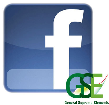 GSE LOGO2012.ai