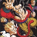 dbgt207236.jpg