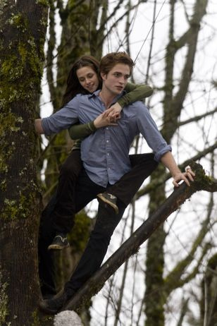 twilight 10