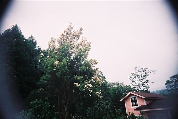 F1000011.JPG