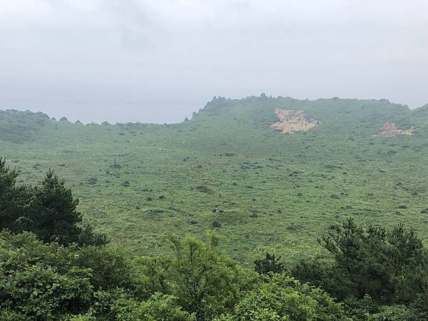 IMG_9260.JPG IMG_9260.JPG