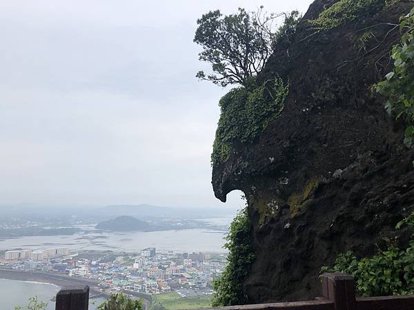 IMG_9265.JPG IMG_9265.JPG