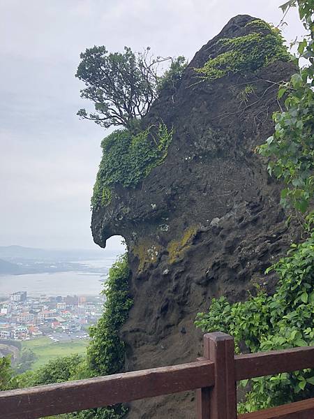 IMG_9264.JPG IMG_9264.JPG