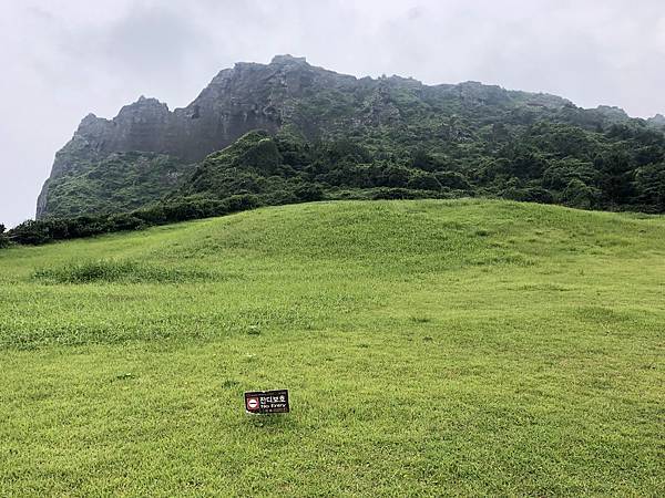 IMG_9267.JPG IMG_9267.JPG