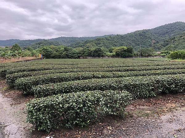 IMG_1802.JPG IMG_1802.JPG