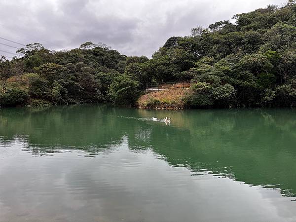 【基隆掀風潮旅遊】情人湖公園、湖海灣、和平島地質公園、諸聖教