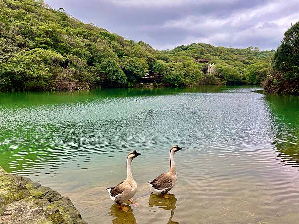 【基隆掀風潮旅遊】情人湖公園、湖海灣、和平島地質公園、諸聖教