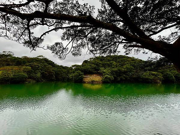 【基隆掀風潮旅遊】情人湖公園、湖海灣、和平島地質公園、諸聖教