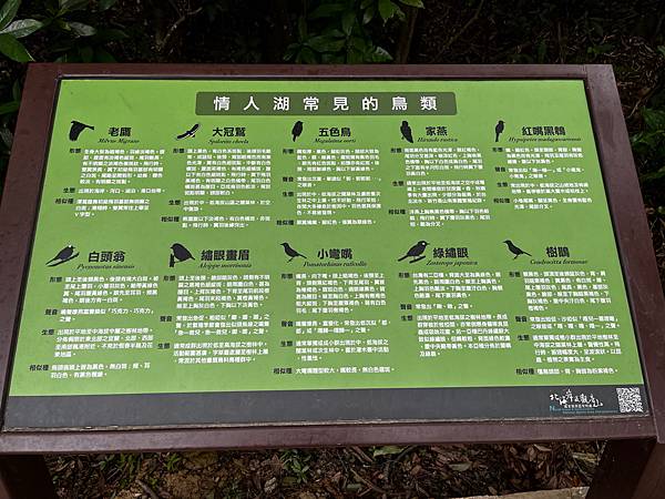 【基隆掀風潮旅遊】情人湖公園、湖海灣、和平島地質公園、諸聖教