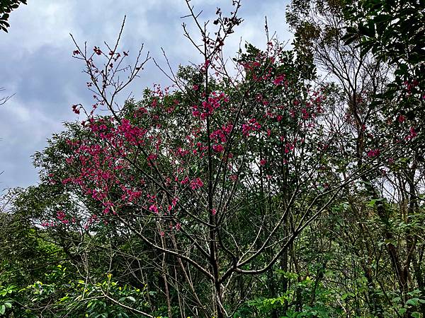 【基隆掀風潮旅遊】情人湖公園、湖海灣、和平島地質公園、諸聖教