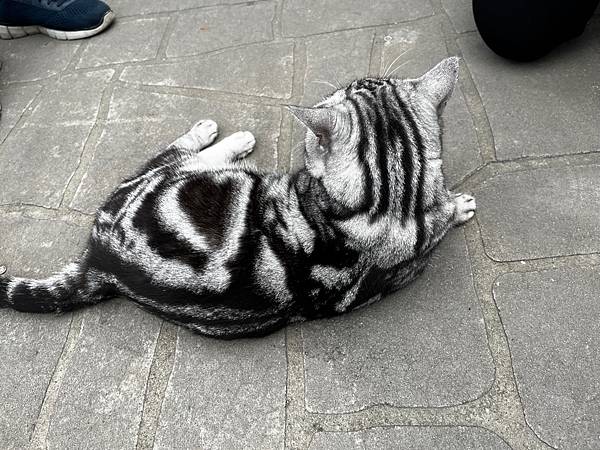 【基隆掀風潮旅遊】情人湖公園、湖海灣、和平島地質公園、諸聖教