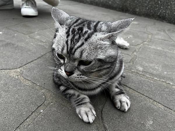 【基隆掀風潮旅遊】情人湖公園、湖海灣、和平島地質公園、諸聖教