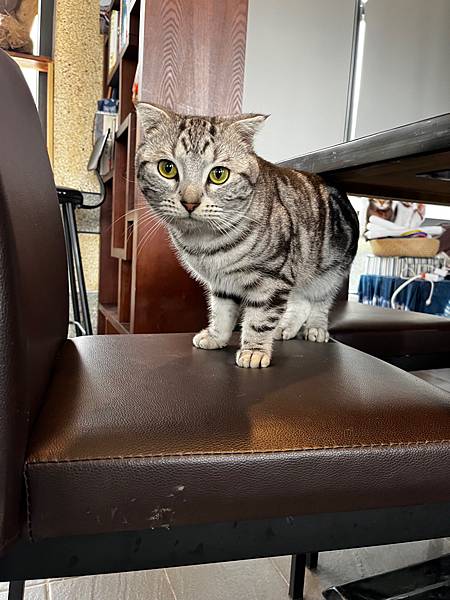 【基隆掀風潮旅遊】情人湖公園、湖海灣、和平島地質公園、諸聖教