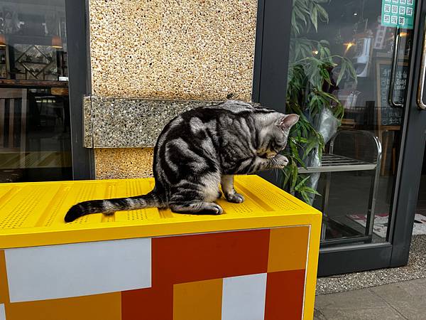 【基隆掀風潮旅遊】情人湖公園、湖海灣、和平島地質公園、諸聖教