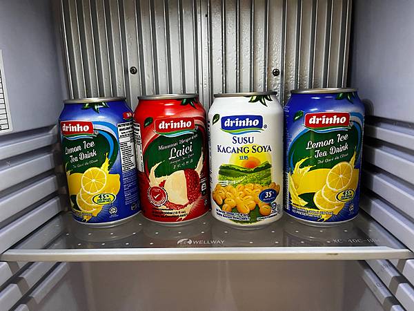 【馬來西亞住宿】大紅花渡假村 一房一泳池奢華海上villa 