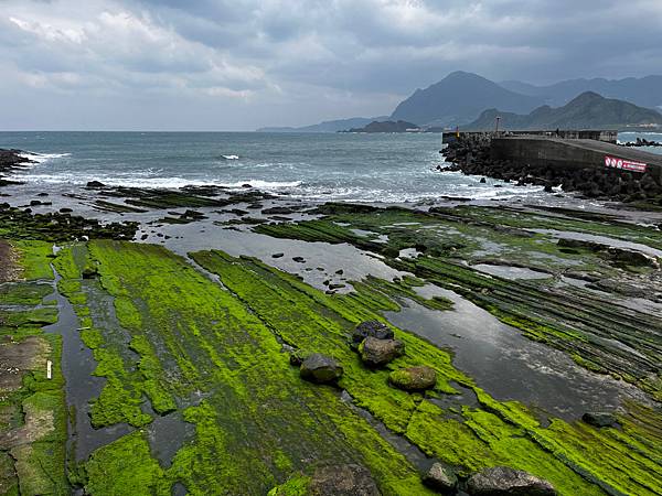 【基隆旅遊】2025 基隆一日遊潮境公園 正濱漁港彩虹屋 