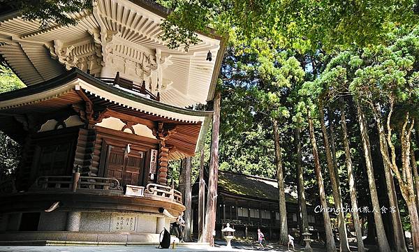 日本歌山県自駕景點，高野山一千二百年佛門聖域，金剛峯寺、壇上