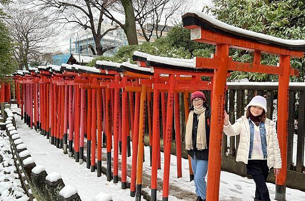 東京根津神社，雪景千本鳥居超好拍 ! 求姻緣、解厄、學業聖地