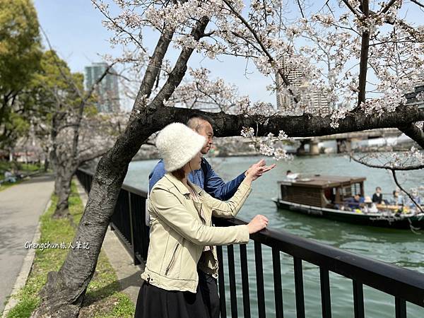 大阪京都賞櫻，毛馬櫻之宮+蹴上傾斜鐵道+哲學之道+ 祇園白川