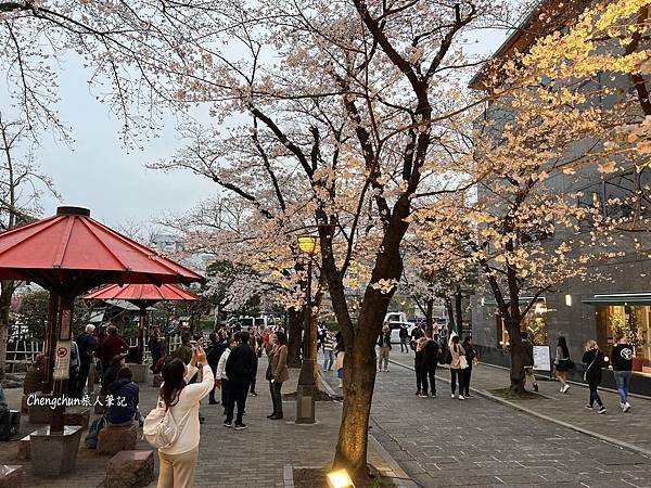 大阪京都賞櫻，毛馬櫻之宮+蹴上傾斜鐵道+哲學之道+ 祇園白川