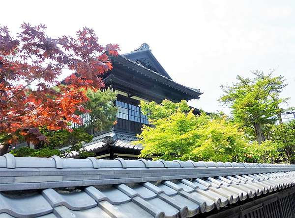 牡丹花開的豪邸餐廳 小樽運河的夏天風采 北海道的夏天與札幌婚禮 一 雪梨隨筆e 痞客邦 牡丹花開的豪邸餐廳 小樽運河的夏天風采 北海道的夏天與札幌婚禮 一 雪梨隨筆e 痞客邦