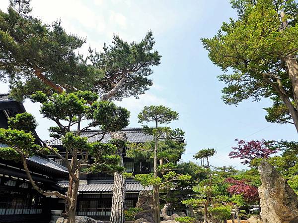 牡丹花開的豪邸餐廳 小樽運河的夏天風采 北海道的夏天與札幌婚禮 一 雪梨隨筆e 痞客邦 牡丹花開的豪邸餐廳 小樽運河的夏天風采 北海道的夏天與札幌婚禮 一 雪梨隨筆e 痞客邦