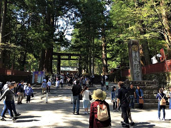 IMG_3516 (2).JPG IMG_3516 (2).JPG