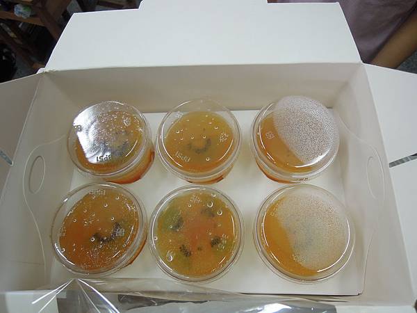 DSCN4359.JPG DSCN4359.JPG