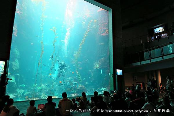 IMG_4458.jpg IMG_4458.jpg