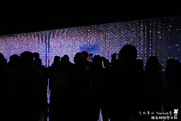 台北華山teamLab (52).jpg