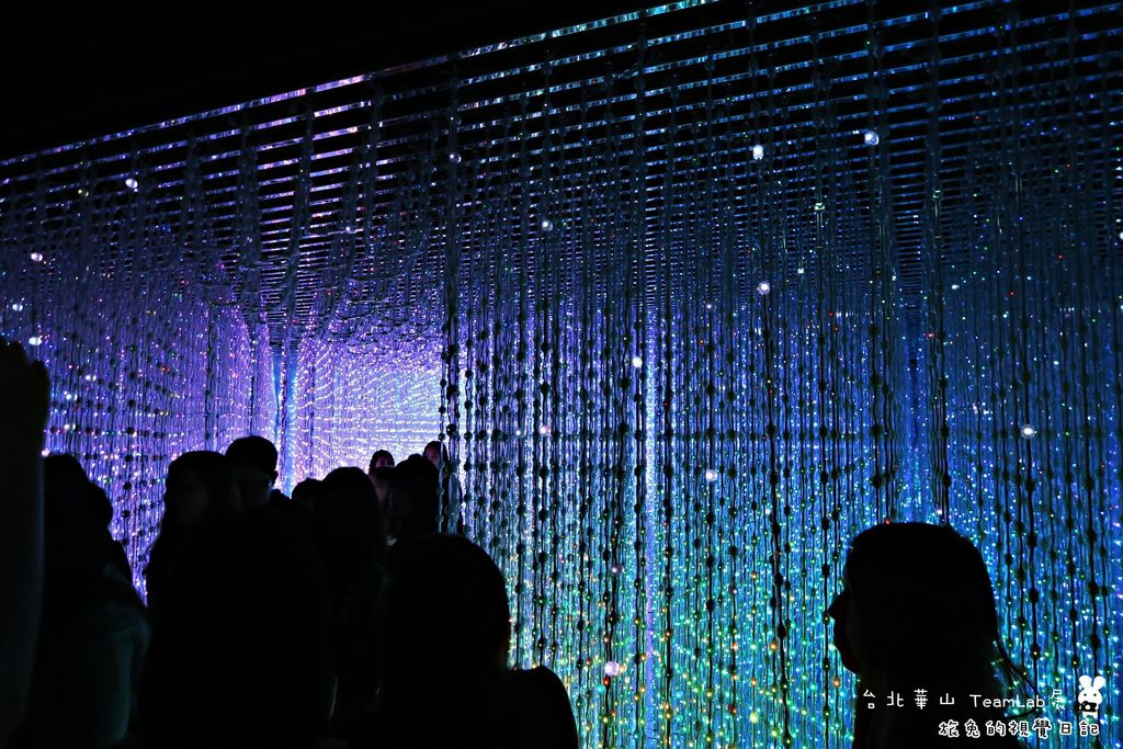 台北華山teamLab (50).jpg