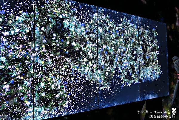 台北華山teamLab (10).jpg