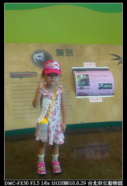 mm08.jpg mm08.jpg