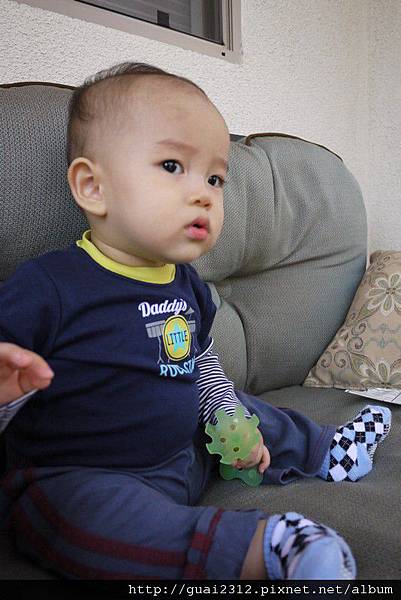 P1060656 P1060656