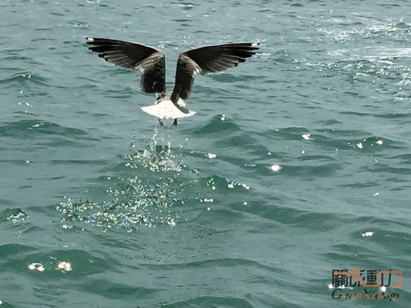 IMG_3022_结果.JPG IMG_3022_结果.JPG