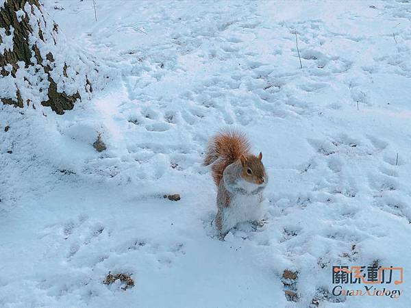 IMG_0786_结果.JPG IMG_0786_结果.JPG