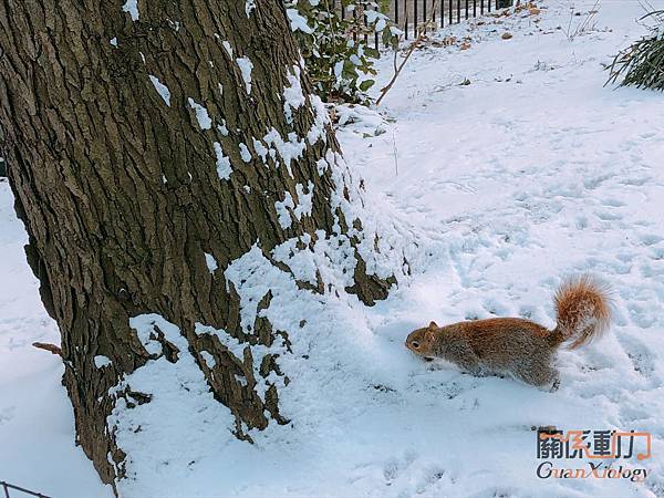 IMG_0785_结果.JPG IMG_0785_结果.JPG
