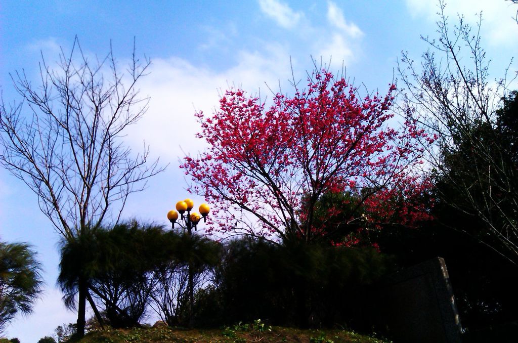 IMAG0104 IMAG0104