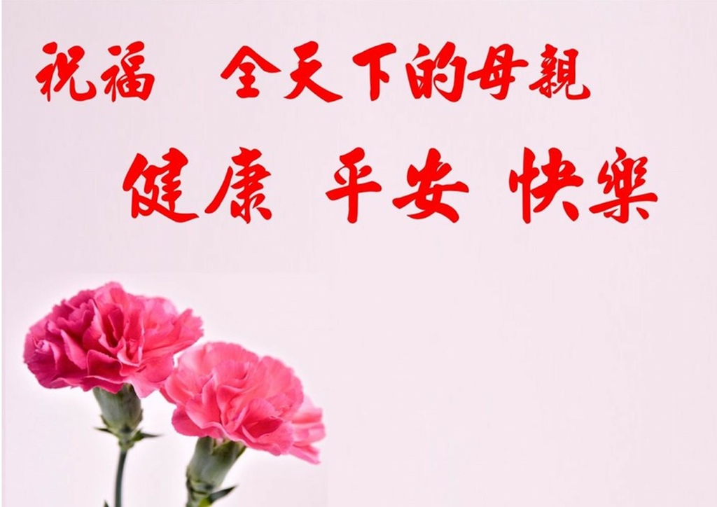 2021母親節-康乃馨.jpg 2021母親節-康乃馨.jpg