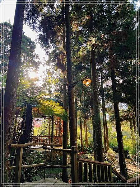 [食記] 苗栗南庄 青杉嶴 Ao Cafe-森林裡的咖啡廳