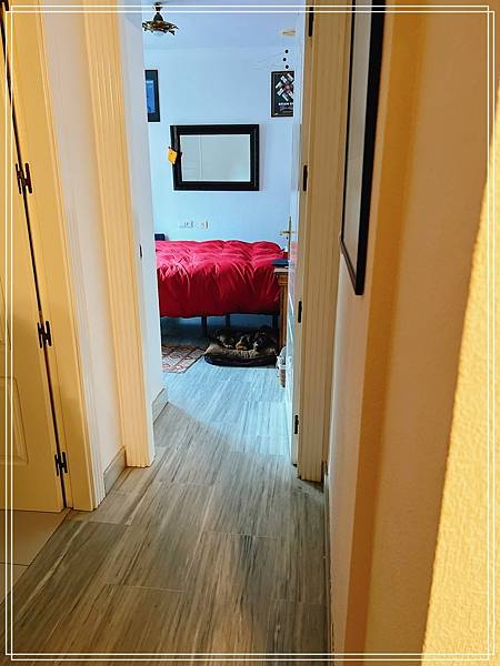 batch_2022-12-10 09.09.15 batch_2022-12-10 09.09.15