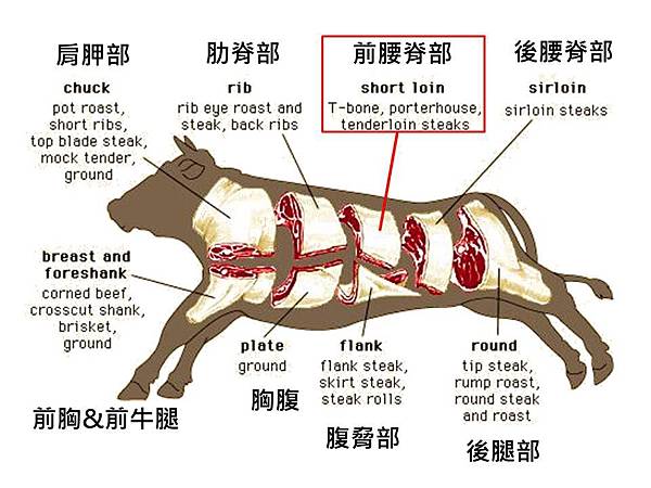 牛肉部位-前腰脊部 (2)