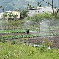 (一)台日交流實踐-農食育中的語言實踐_3807.jpg