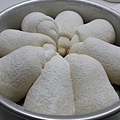 PhotoCap_014.jpg