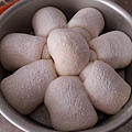 PhotoCap_009.jpg