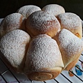 PhotoCap_010.jpg