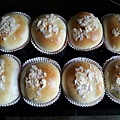 PhotoCap_016.jpg