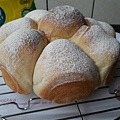 PhotoCap_020.jpg