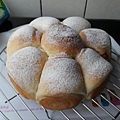 PhotoCap_024.jpg